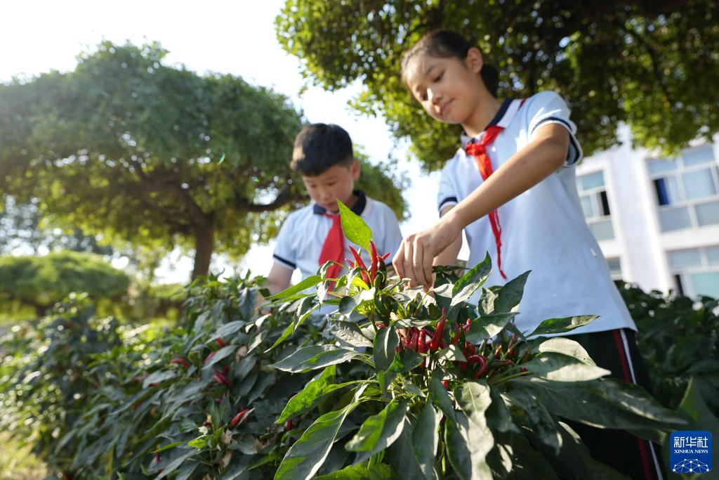 亿贝是什么